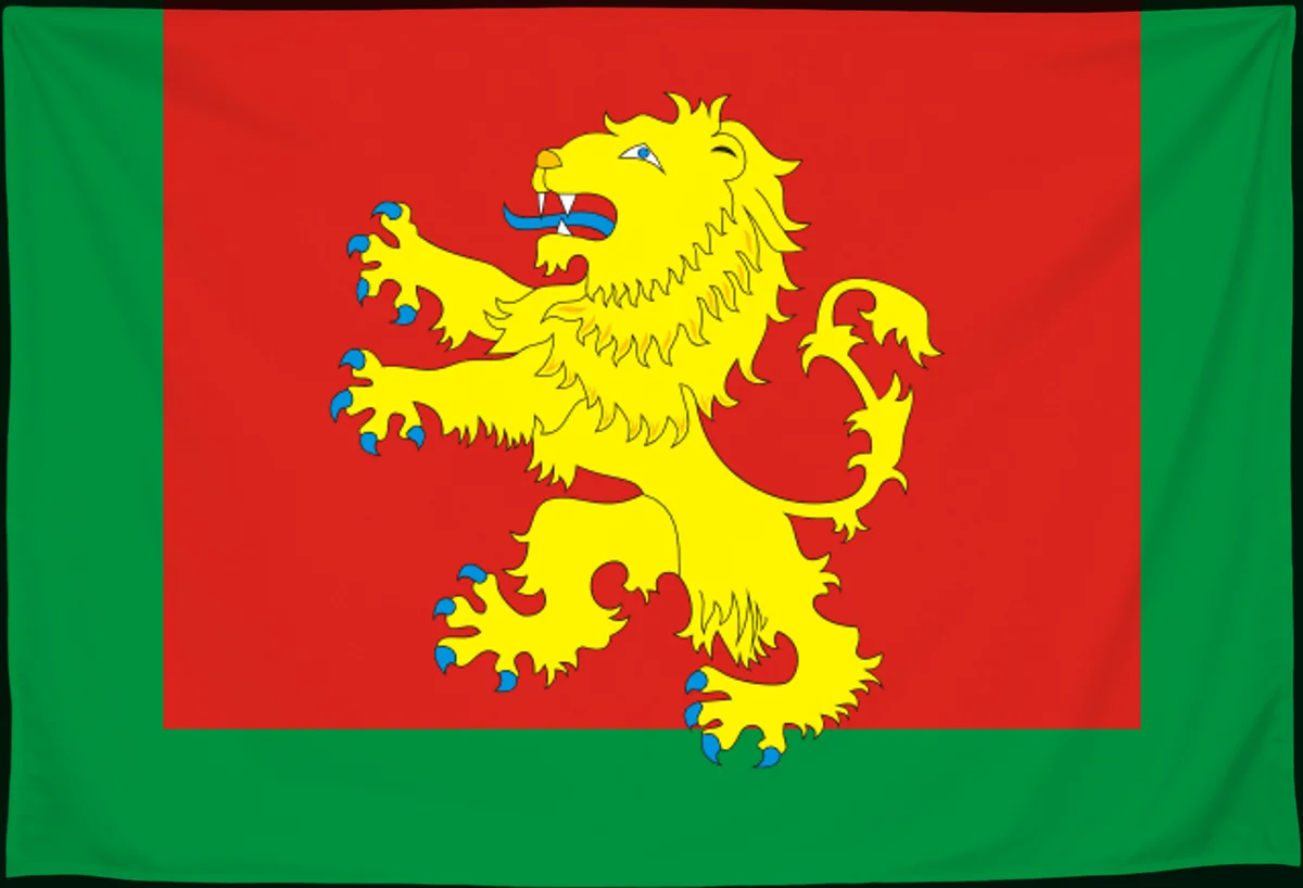 Флаг: Ржевский муниципальный округ